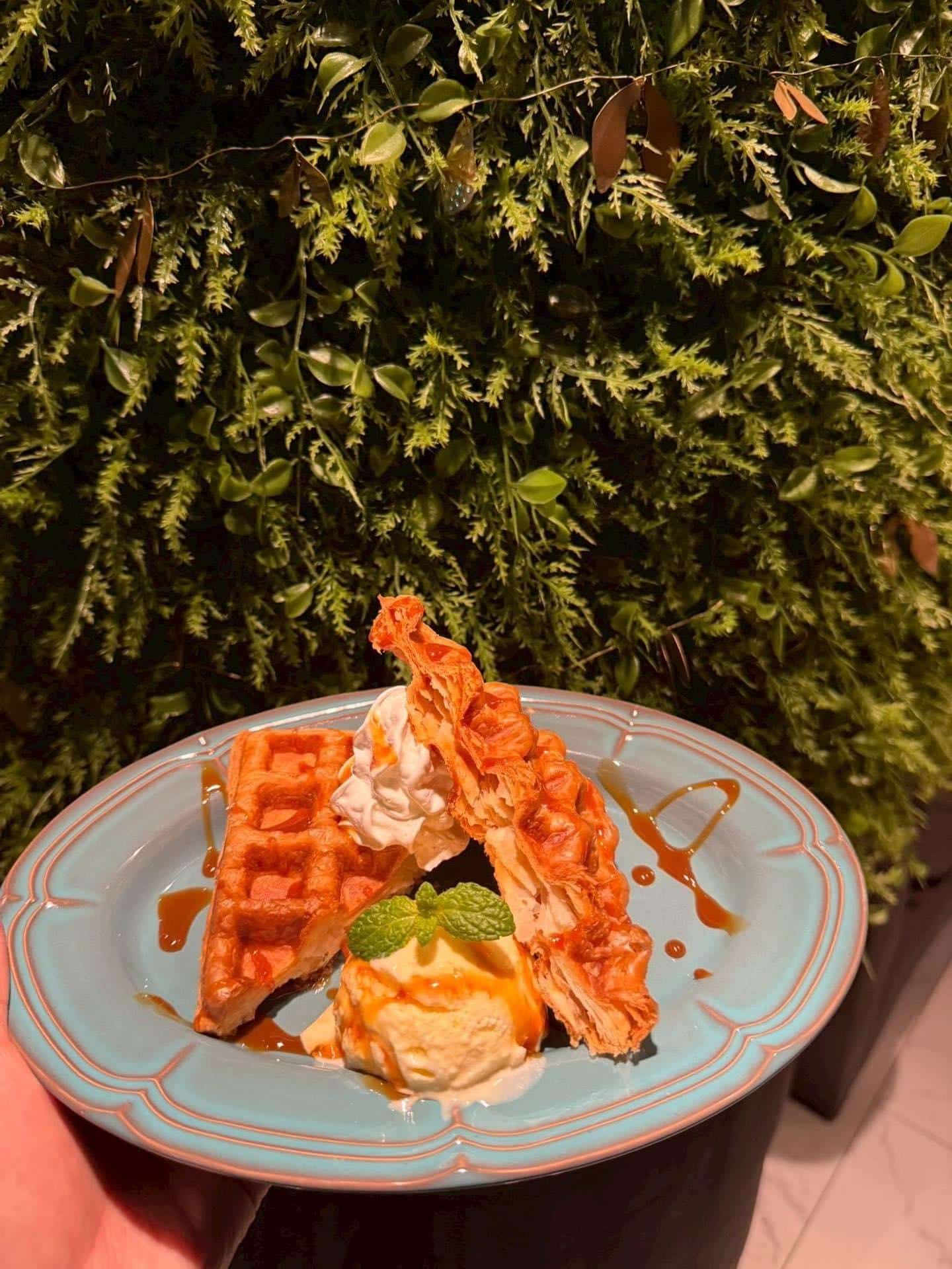 【難波 シーシャ バー】自慢できる隠れ家シーシャカフェ