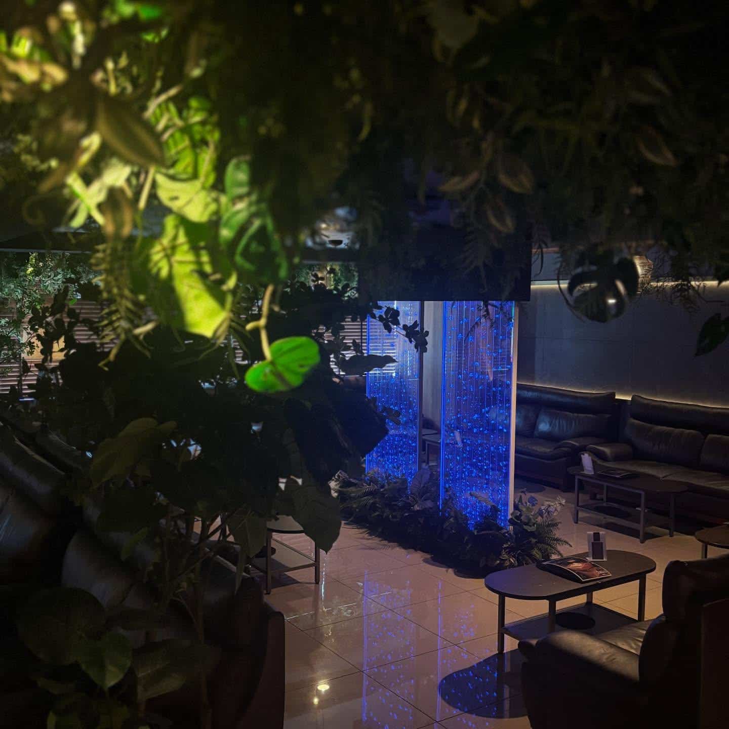 【銀座シーシャバー】ひとりでも安心なシーシャバー