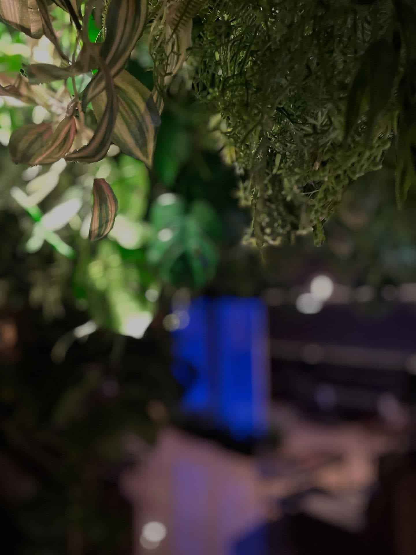 【銀座シーシャバー】ひとりでも安心なシーシャバー