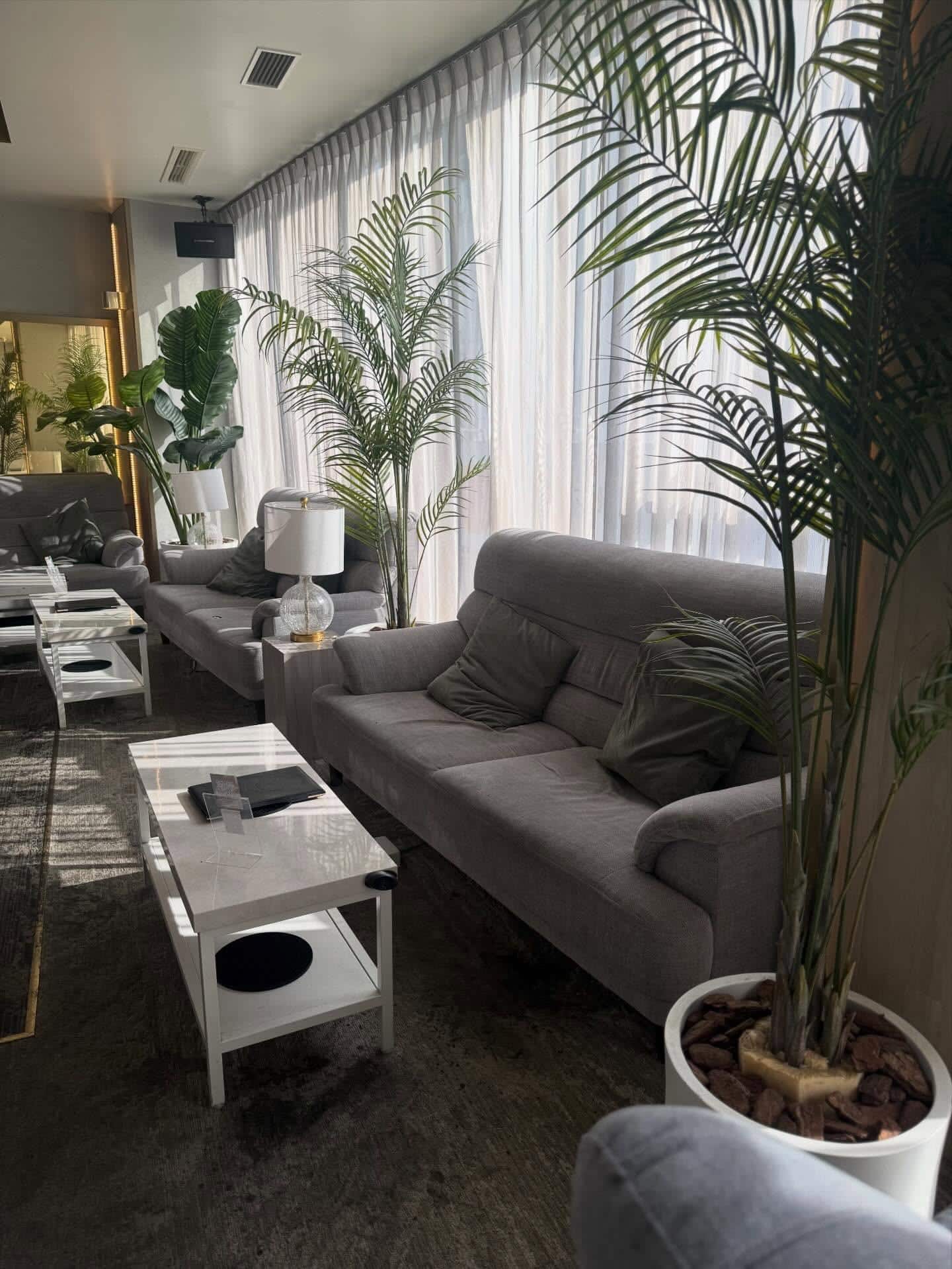 【渋谷シーシャバー】おひとり様シーシャの楽しみ方