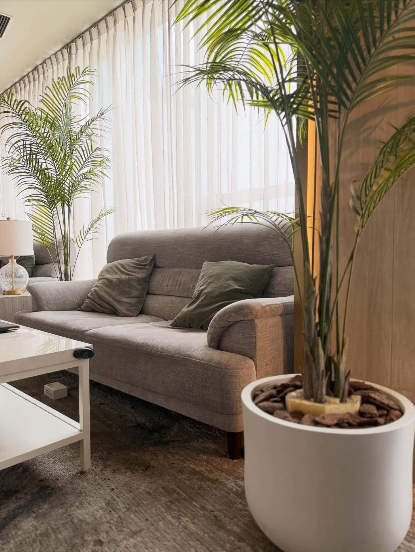 【渋谷シーシャバー】おひとり様シーシャの楽しみ方