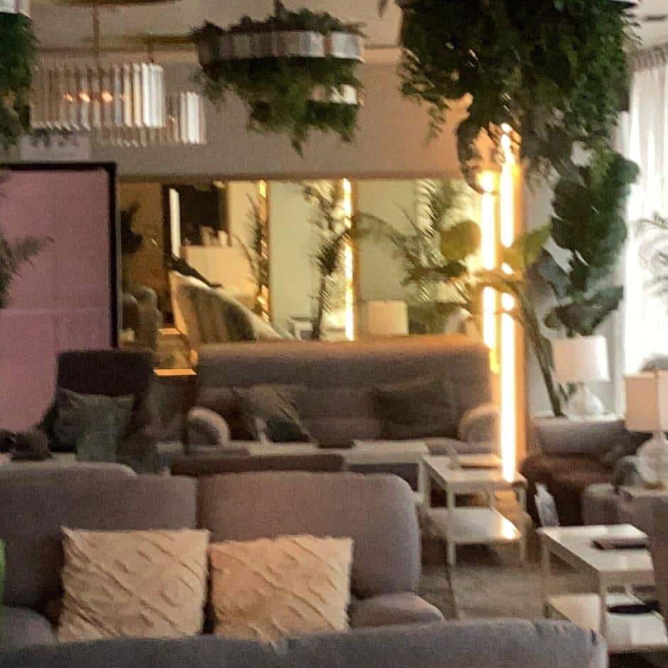 【渋谷シーシャバー】おひとり様シーシャの楽しみ方