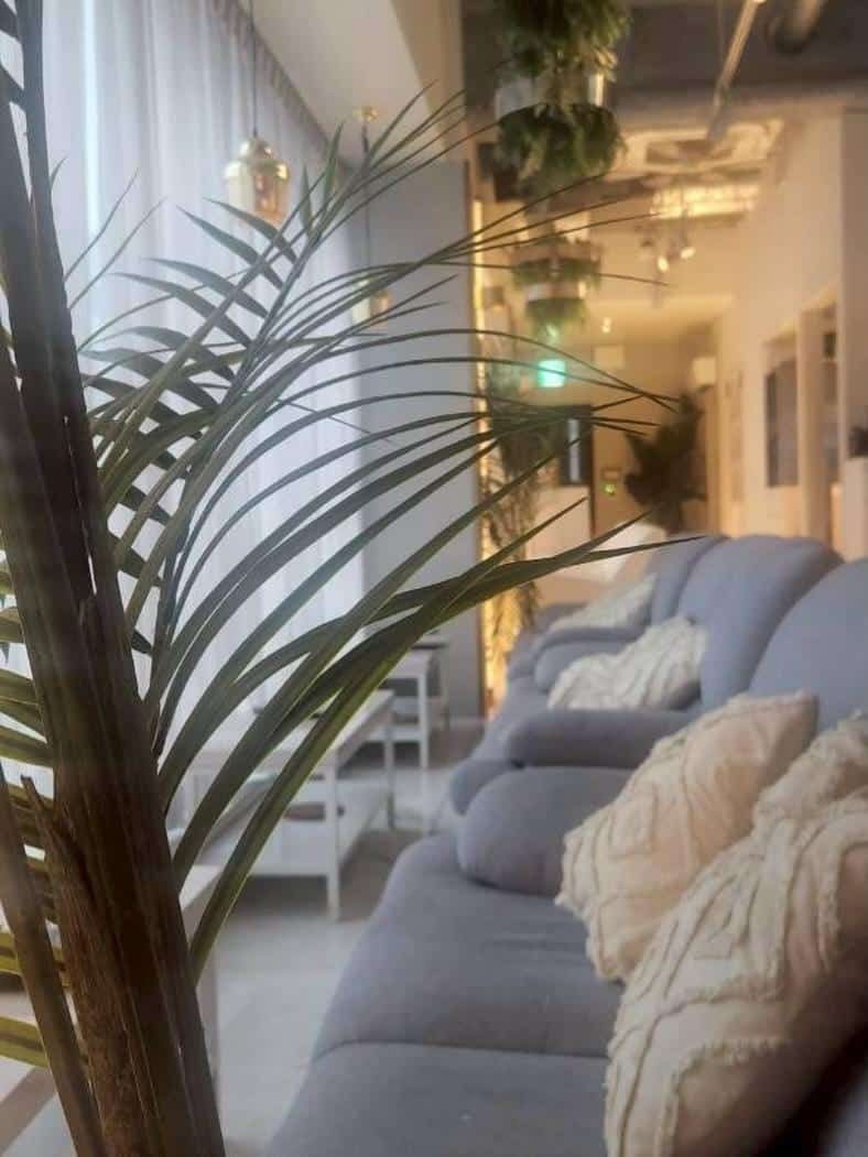 【渋谷シーシャバー】おひとり様シーシャの楽しみ方