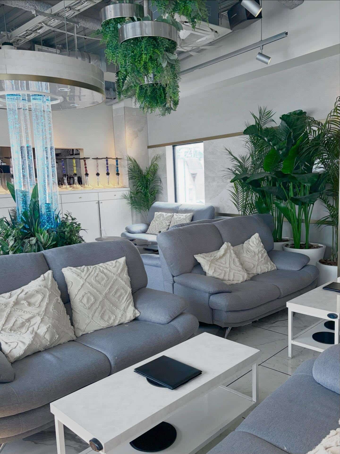 【渋谷シーシャバー】おひとり様シーシャの楽しみ方