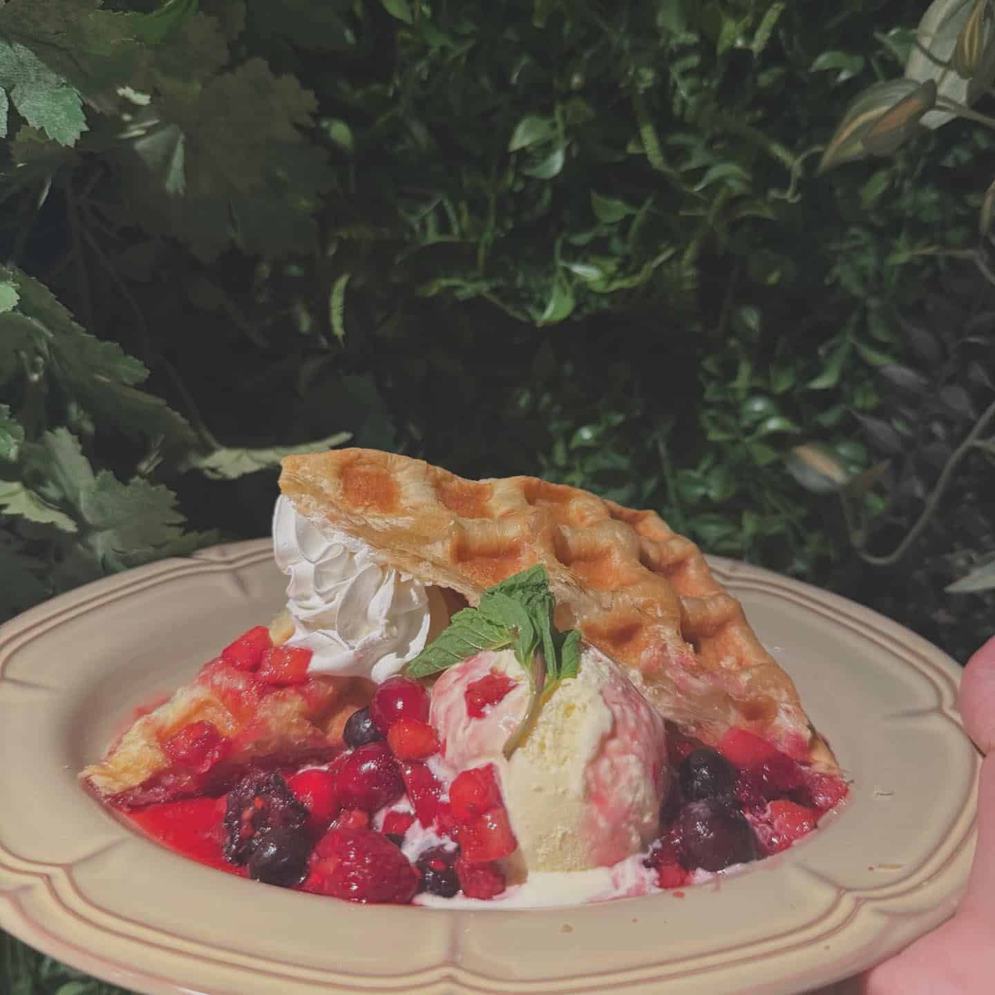 【新宿西口　シーシャ　バー】昼からシーシャを楽しむならここ！昼飲みもOK